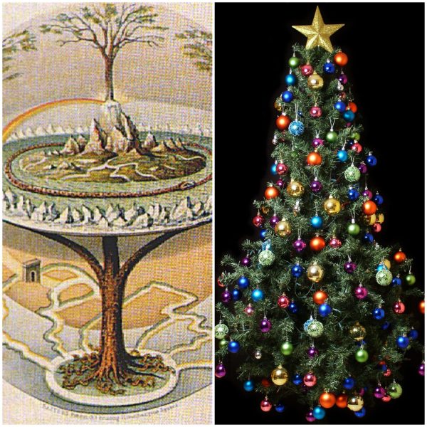 41466082_1907302939350158_6700791856759832576_n