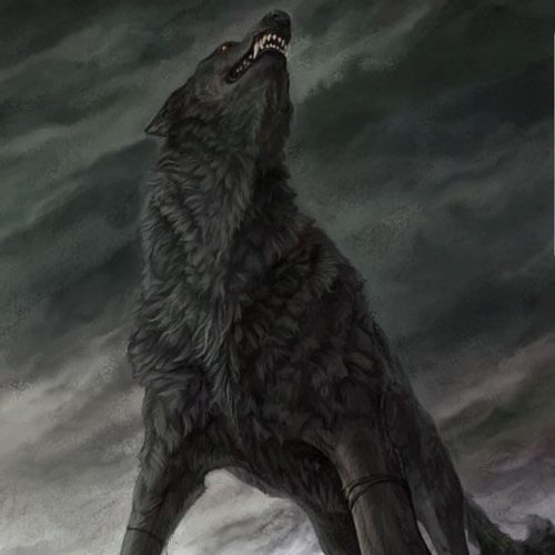 53340095_316426022410704_8719150448331718656_o